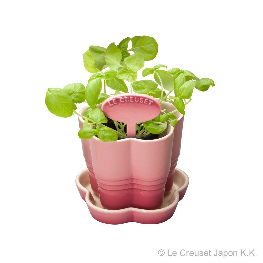 陶瓷花型盆栽 Rose Quartz