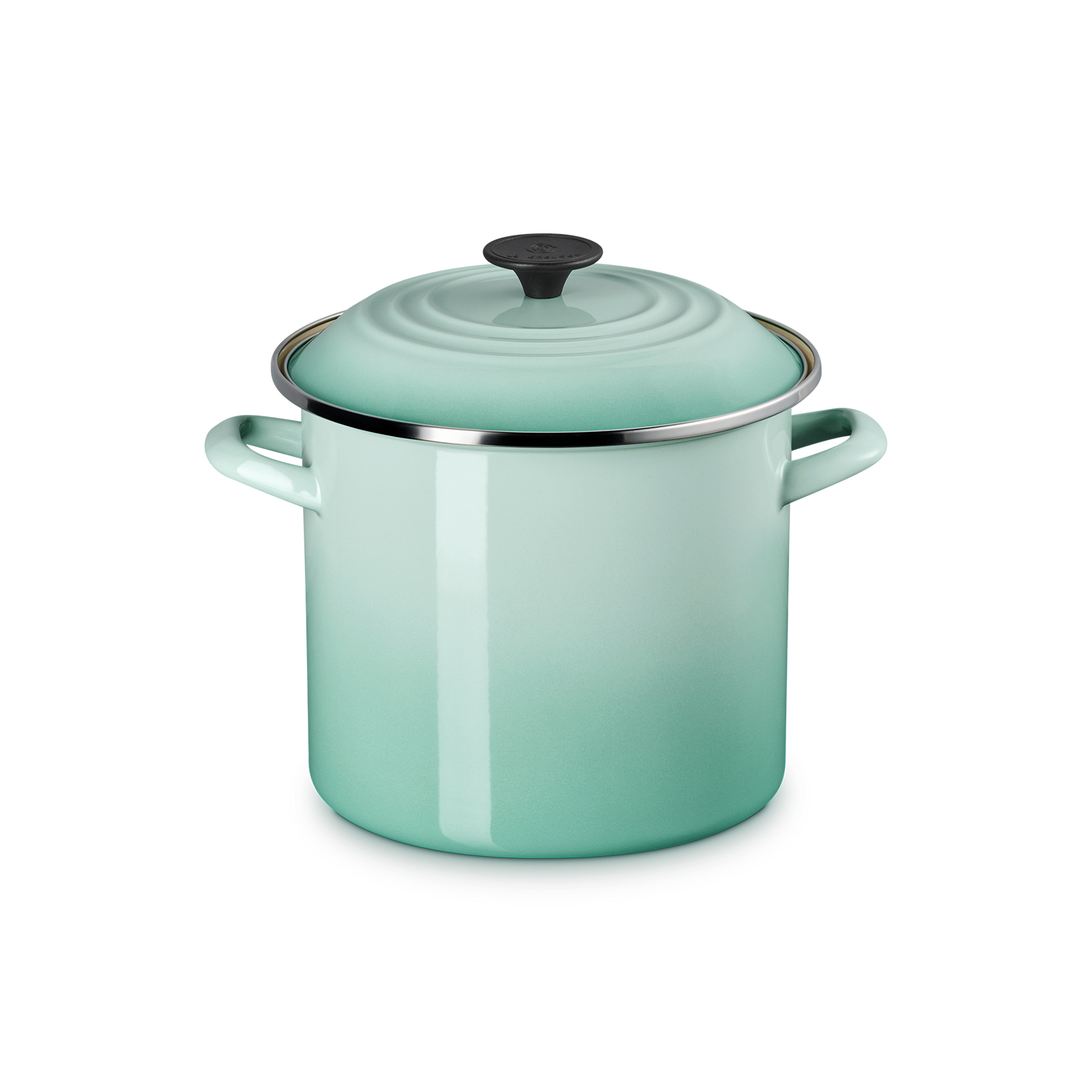 Enamel On Steel Stockpot 7.6L Cool Mint
