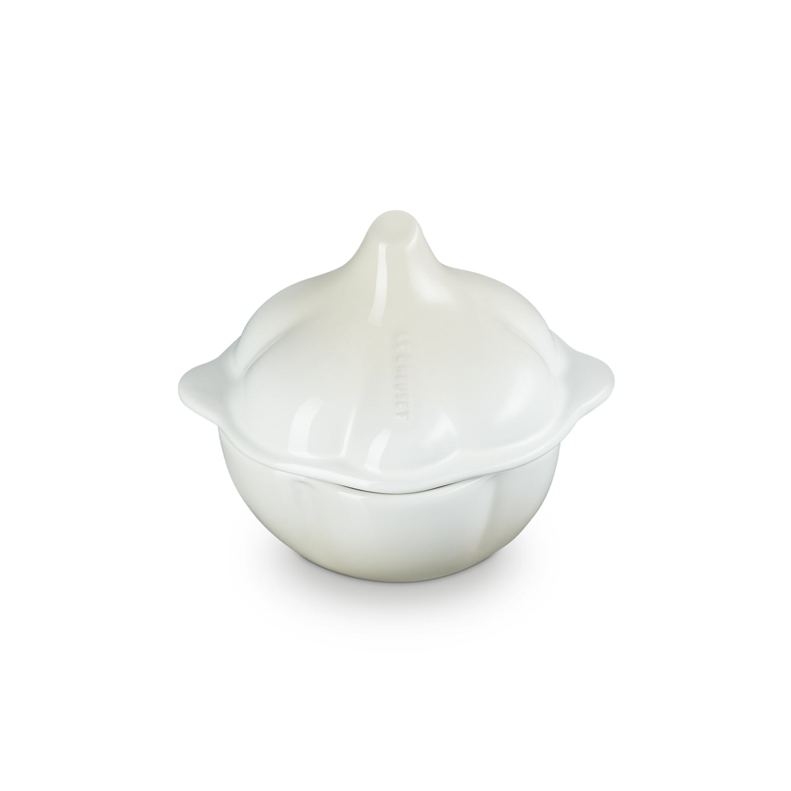 Garlic Casserole image number 1