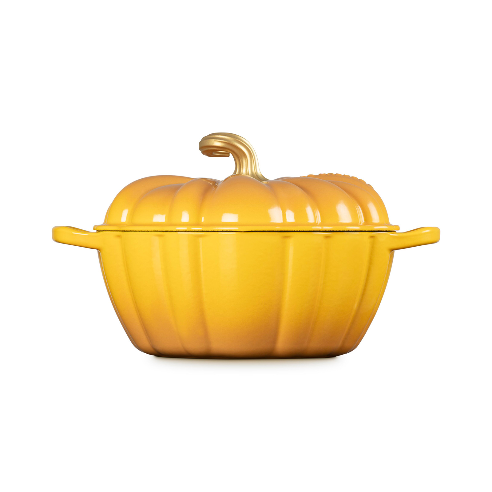 Pumpkin Casserole (Gold Knob) image number 2