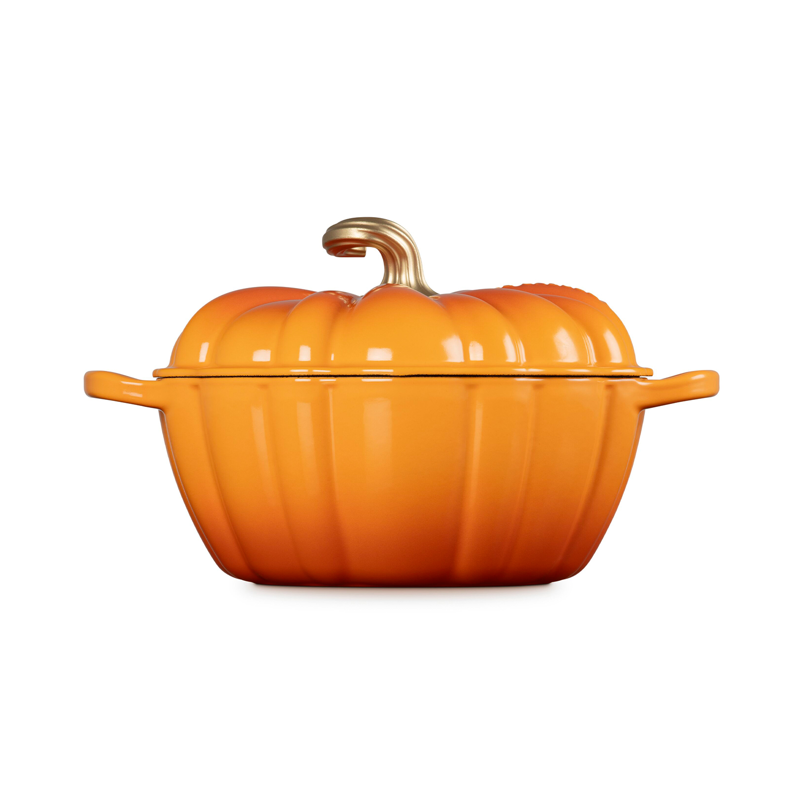 Pumpkin Casserole (Gold Knob) image number 4